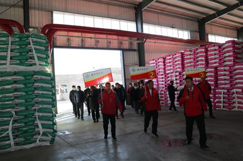 筑夢峰會核心客戶參觀通四方農科成品庫 筑夢峰會核心客戶參觀通四方農科成品庫